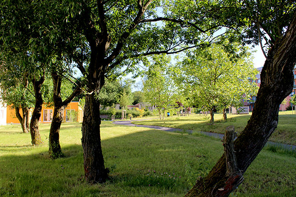 Bernsdorf&hellip;