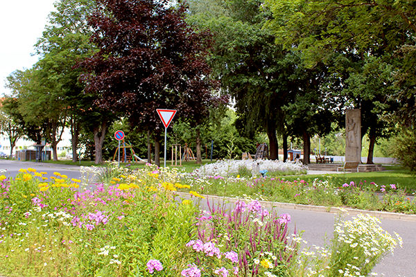 Zirkusplatz Zirkusplatz…
